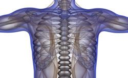 st. louis fibromyalgia